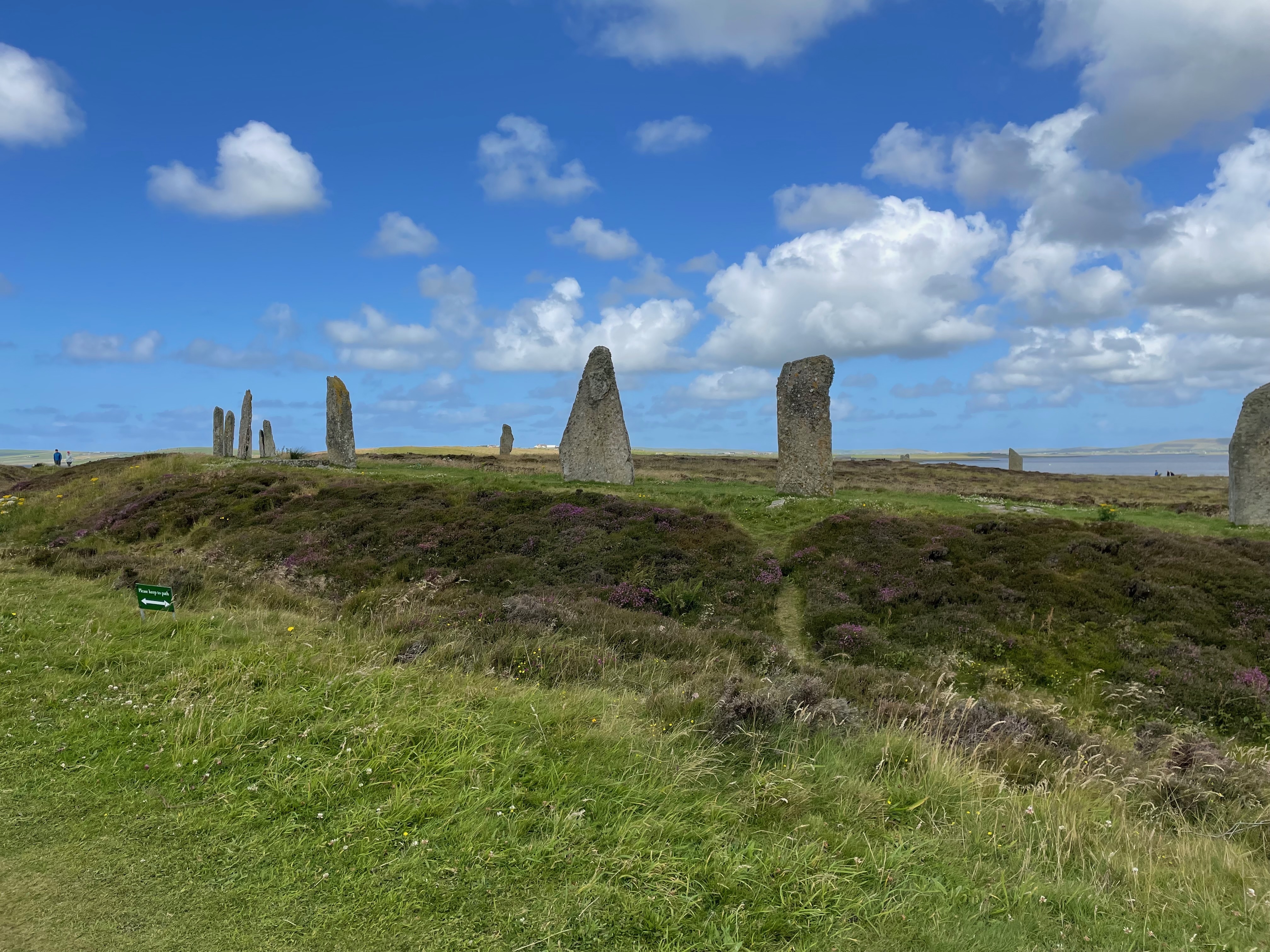 One edge of a large stone circle with a ditch around it.  The stones are thin slabs.  Most obvious is a triangular one in the centre of the picture.