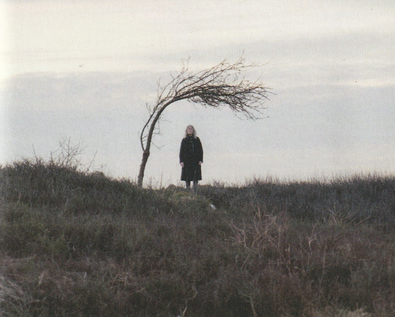 Picture of teh Lady under the tree from 73 yards.